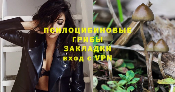 эйфоретик Балахна