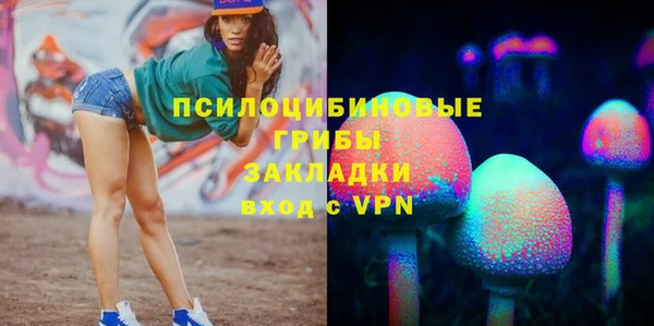 ГАЛЛЮЦИНОГЕННЫЕ ГРИБЫ Остров