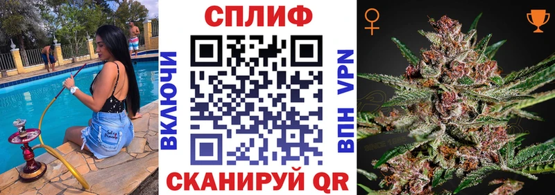где можно купить наркотик  Волгореченск  hydra   Шишки марихуана Bruce Banner 